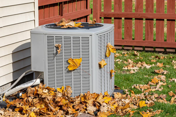 Best Thermostats and Smart Controls in Olney, IL